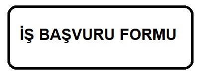 İŞ BAŞVURU FORMU